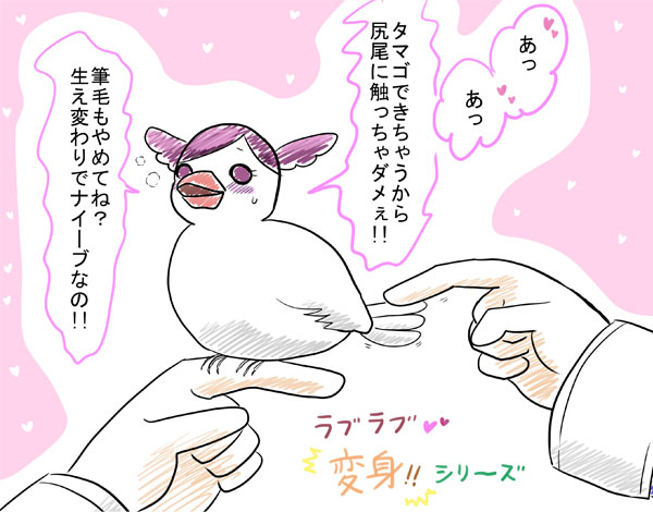 文鳥クレナ