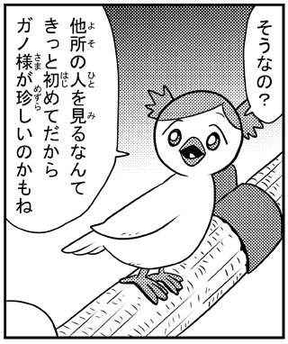 鳥クレナ